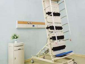 Three-Function Electric Standing Care Bed