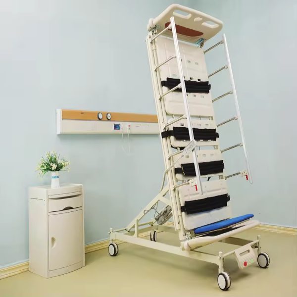Three-Function Electric Standing Care Bed